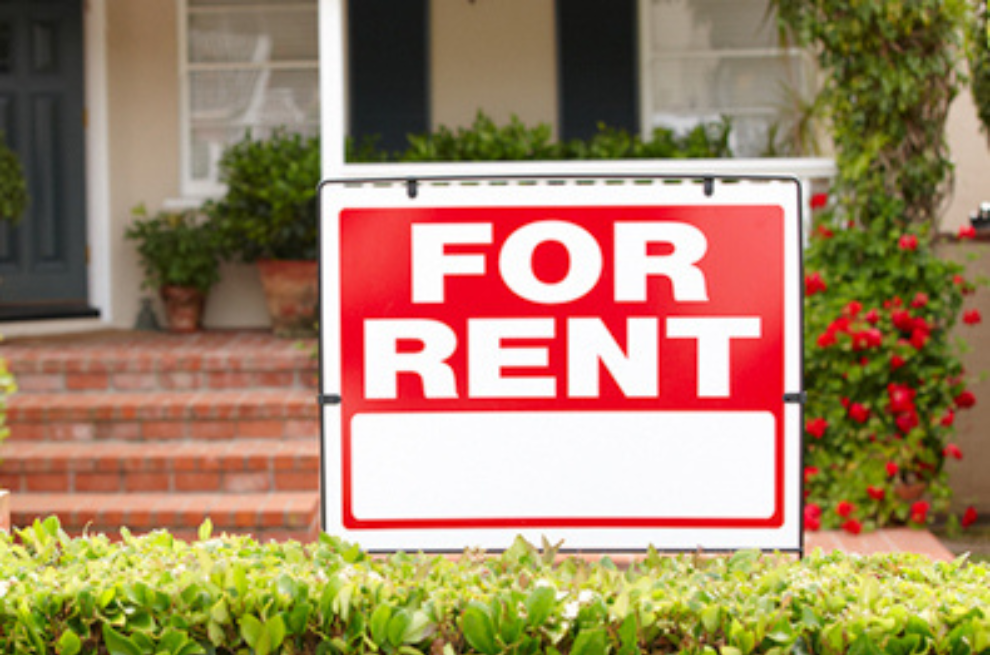 Low vacancy rates are the new normal, says REIQ