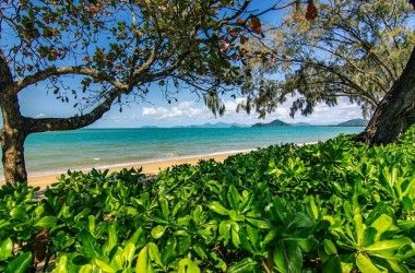 View Listing Listing Photograph