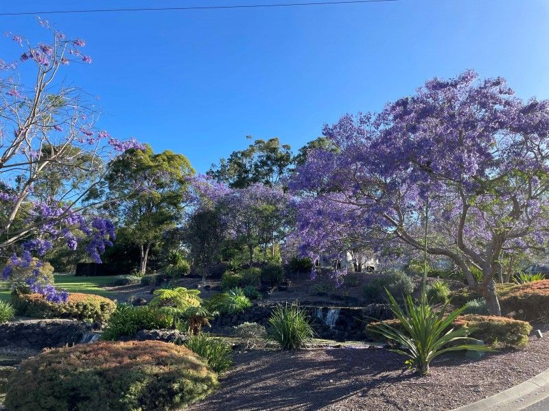 management rights Gold Coast