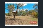 Listing Photograph