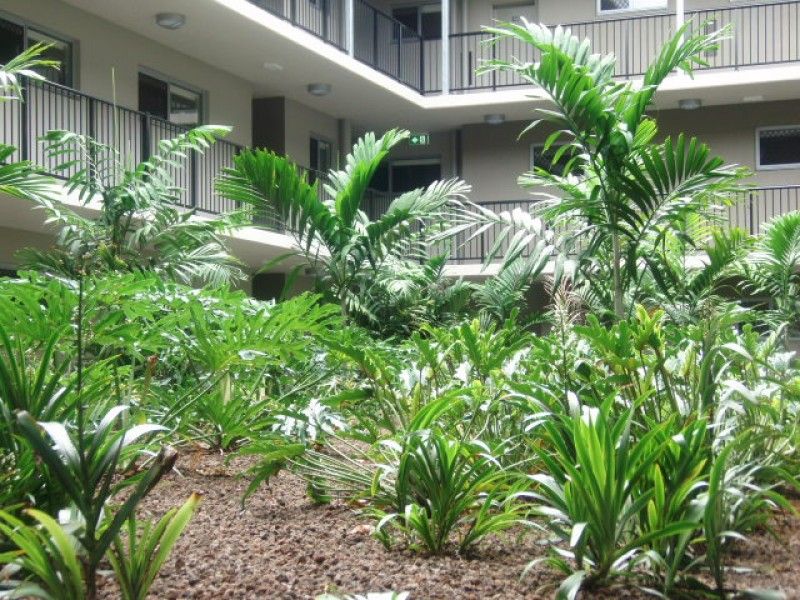 rental property Cairns