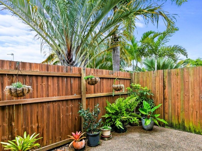 Management Rights Wide Bay