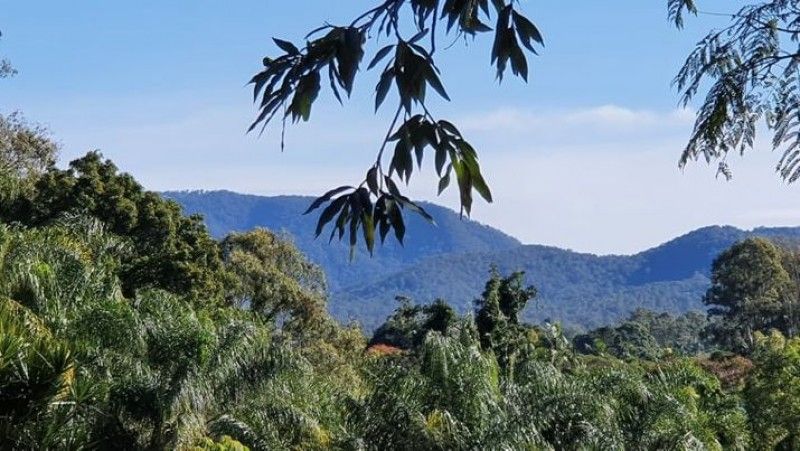 rental property Gold Coast