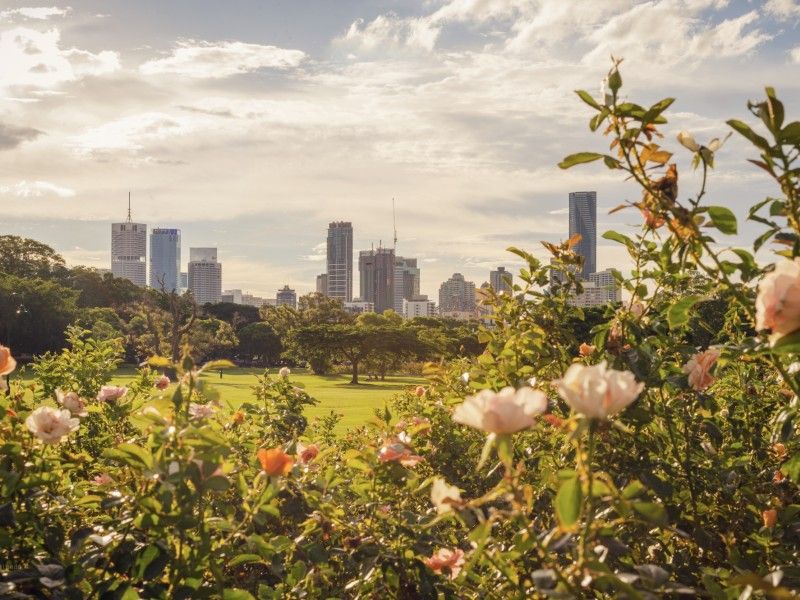 Management Rights Brisbane