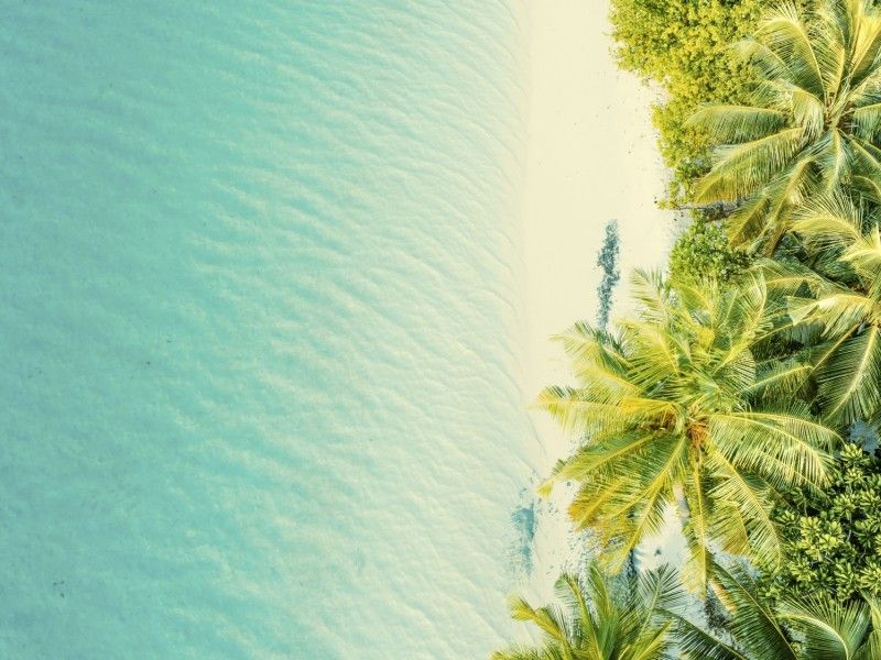 Management Rights Cairns