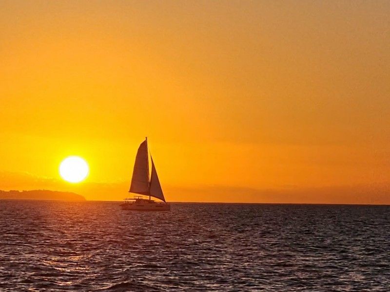 Management Rights Wide Bay