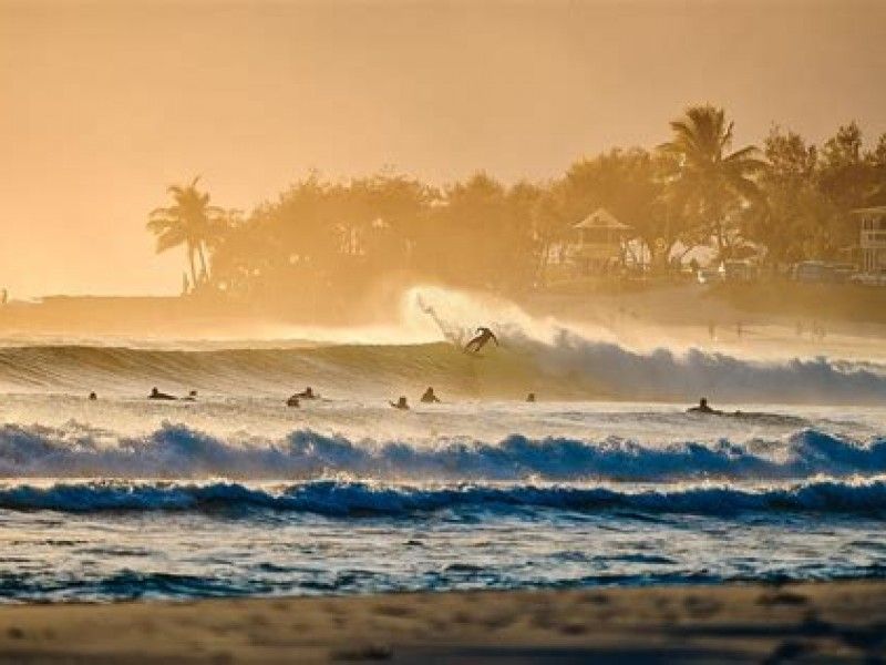 Management Rights Gold Coast