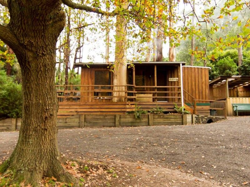 hospitality High country