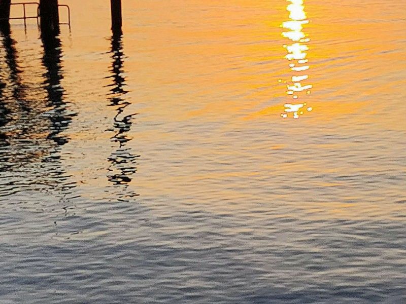 Management Rights Wide Bay