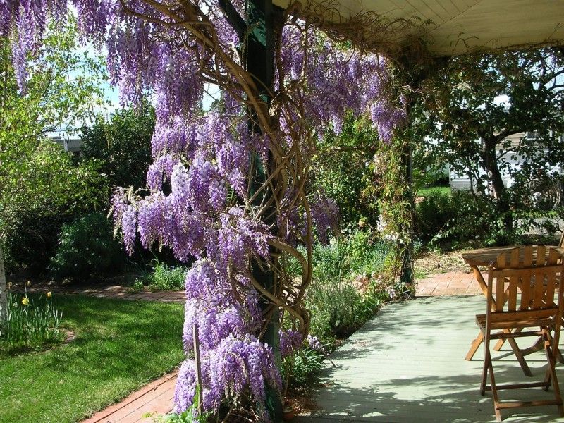 hospitality Southern