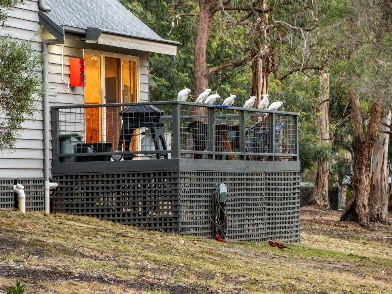 hospitality Melbourne