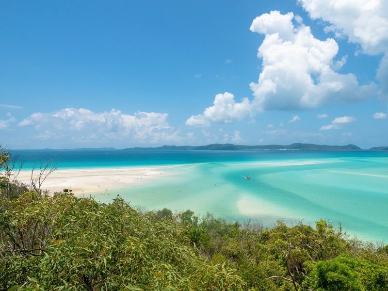 Management Rights Cairns