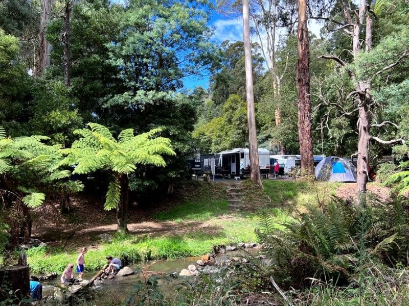 hospitality High country