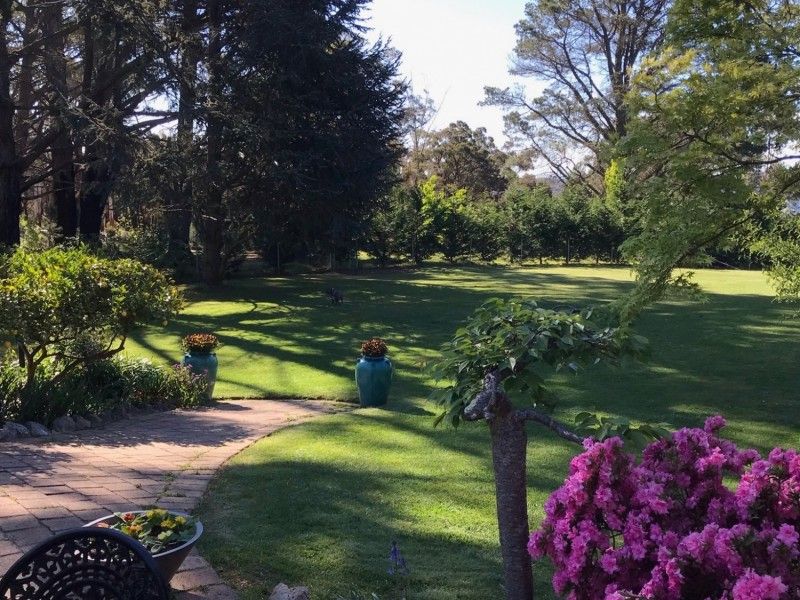 hospitality Blue mountains