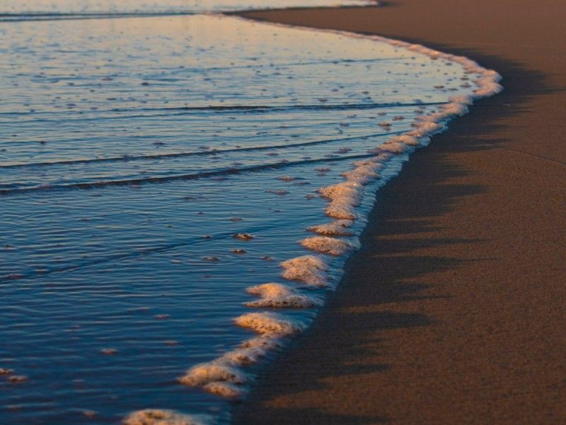 Management Rights Gold Coast