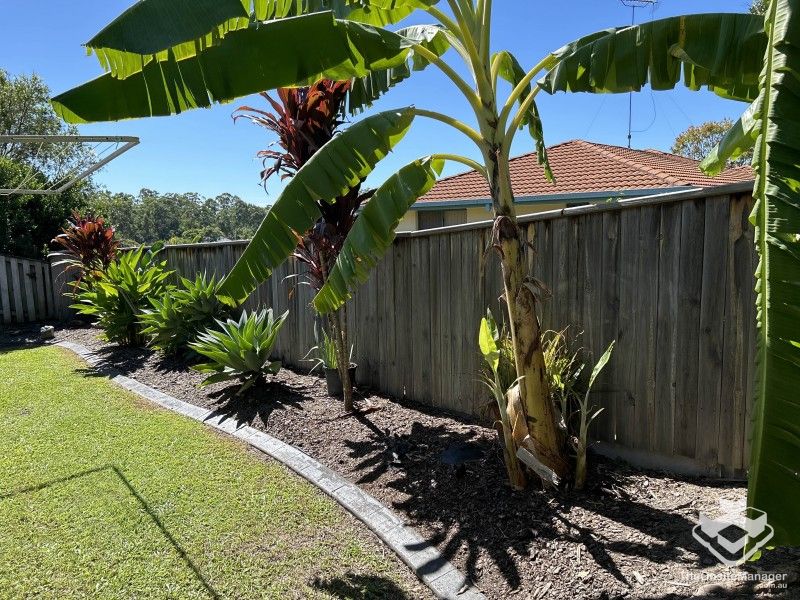 rental property Gold Coast