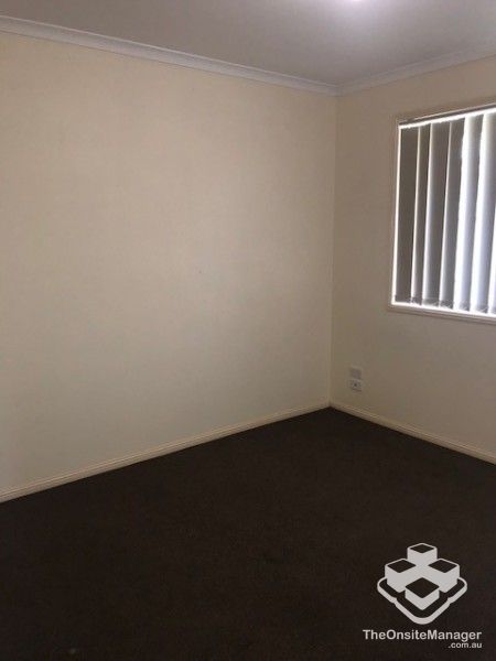 rental property Wide Bay