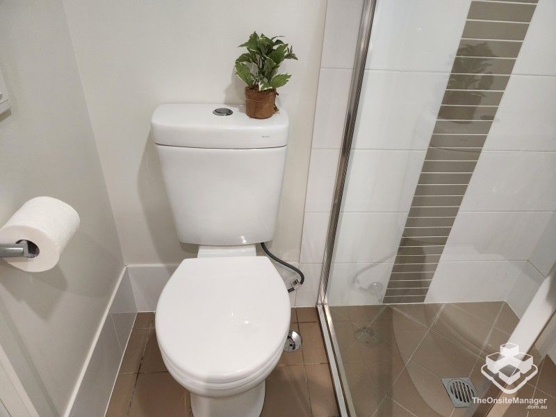 rental property Wide Bay