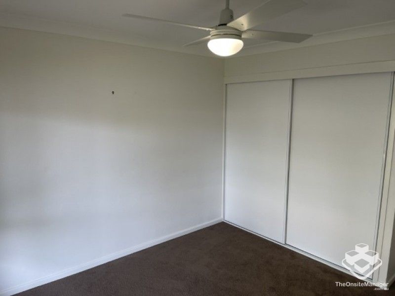 rental property Wide Bay