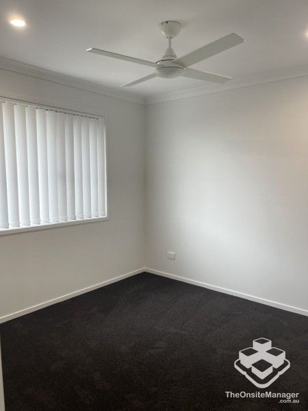 rental property Wide Bay