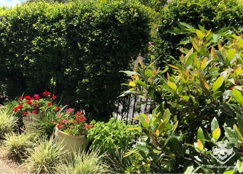 rental property Brisbane