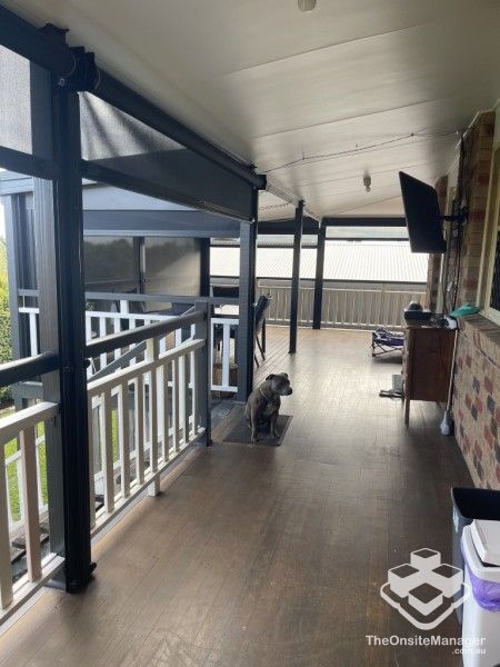 rental property Wide Bay