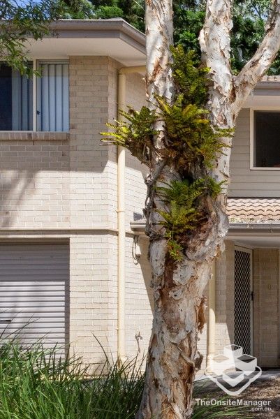 rental property Brisbane