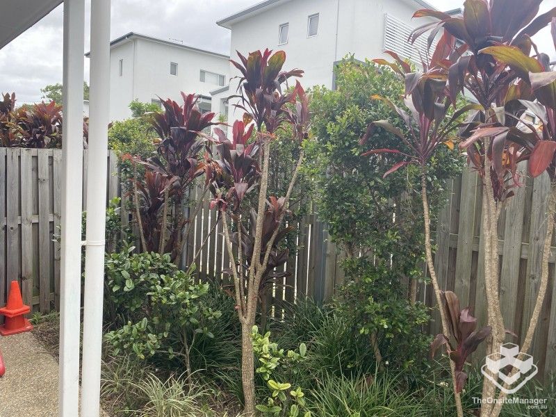 rental property Brisbane