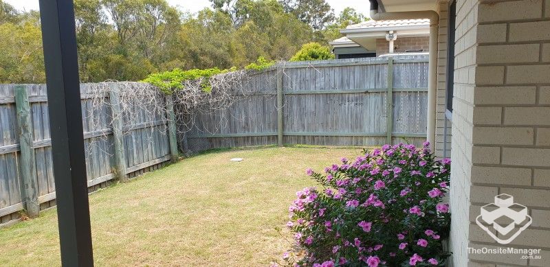 rental property Wide Bay
