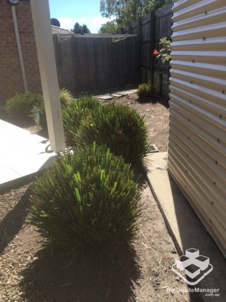 rental property Wide Bay