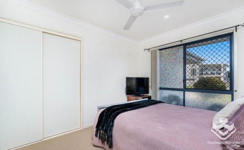 rental property Wide Bay