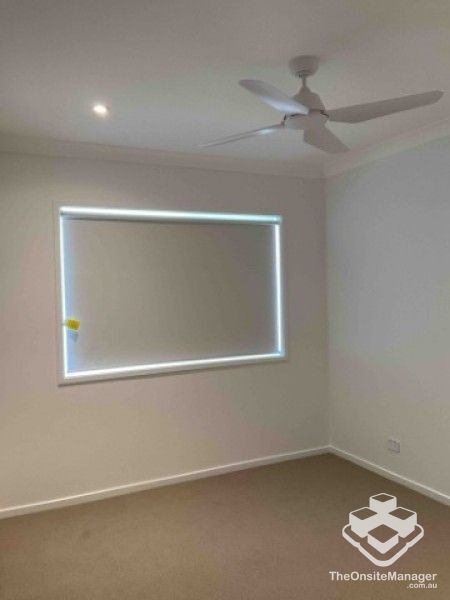 rental property Wide Bay