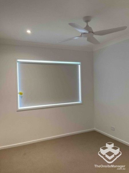 rental property Wide Bay