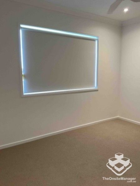 rental property Wide Bay