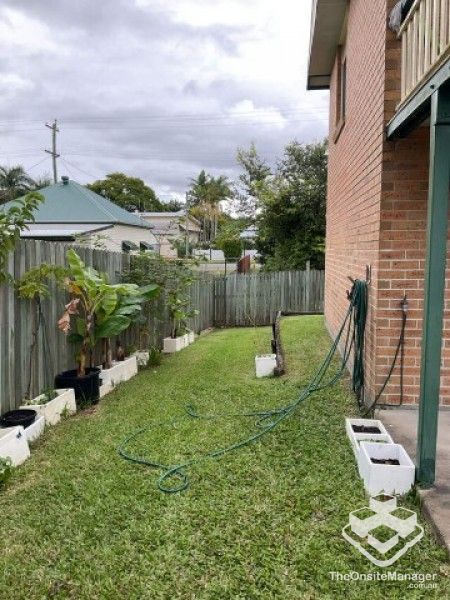 rental property Wide Bay