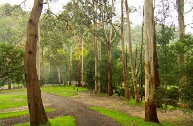 View Listing Listing Photograph