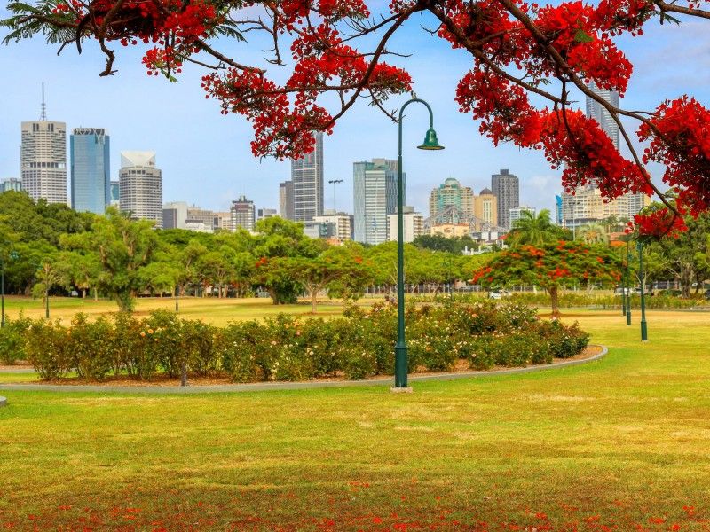 Management Rights Brisbane