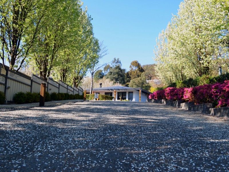 hospitality High country