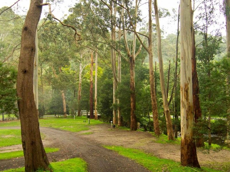 hospitality High country