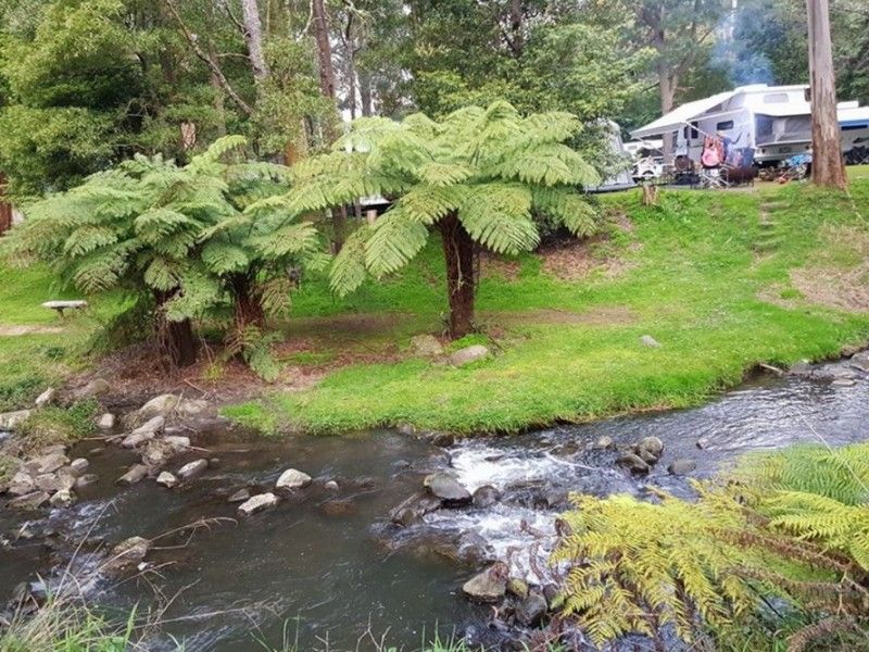 hospitality High country