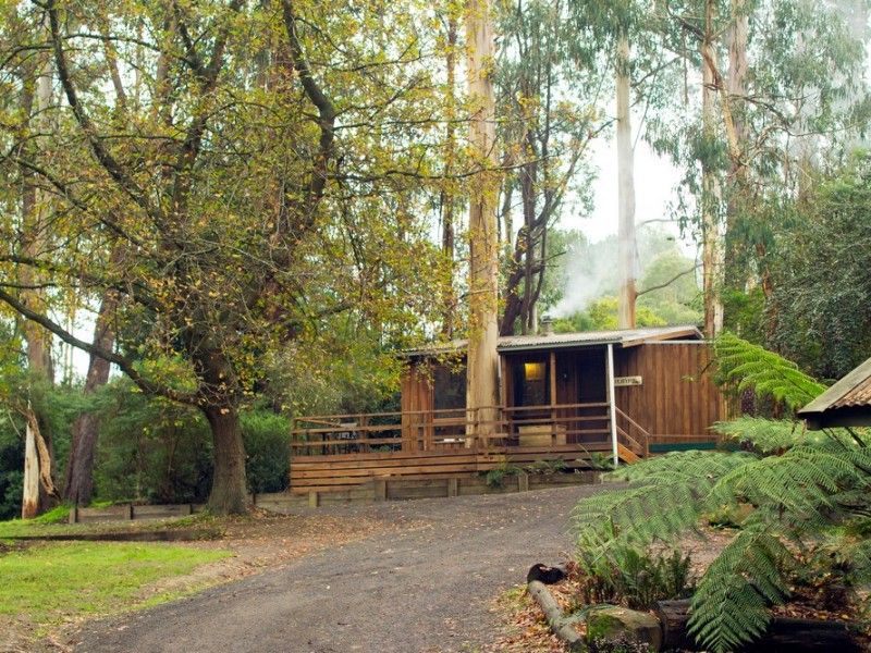 hospitality High country