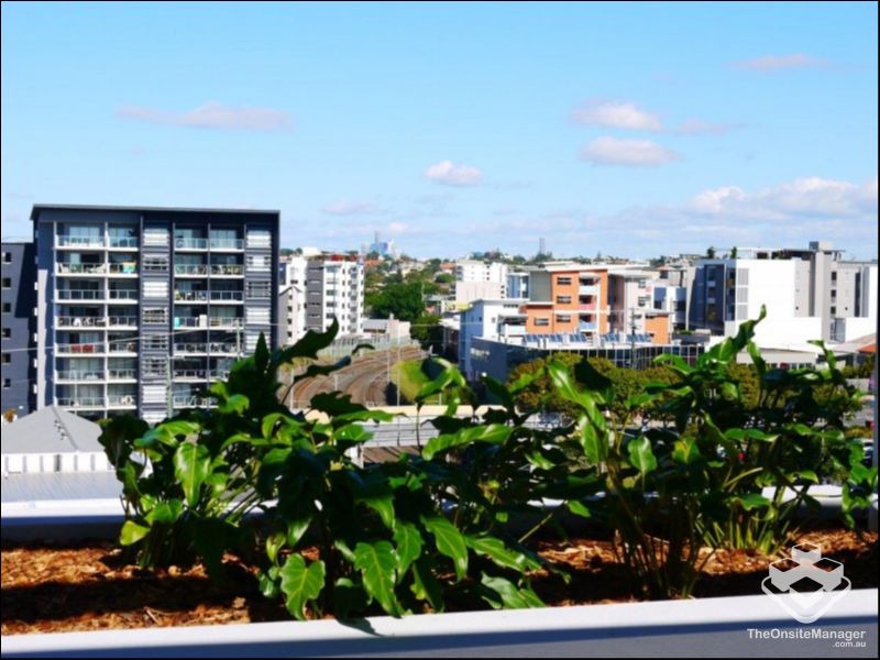 rental property Brisbane