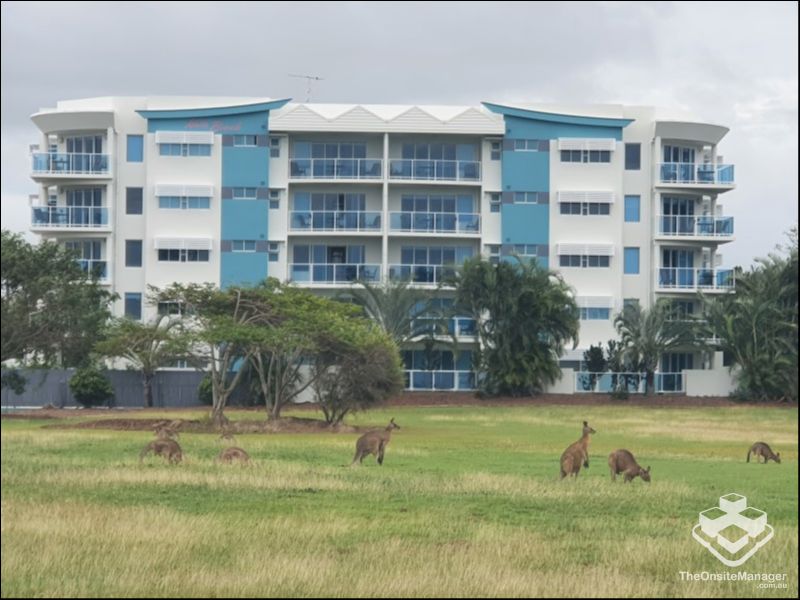 management rights Wide Bay