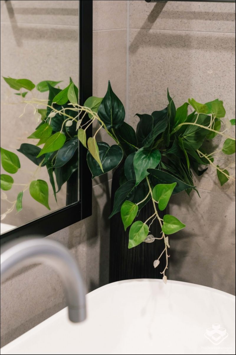 real estate Brisbane