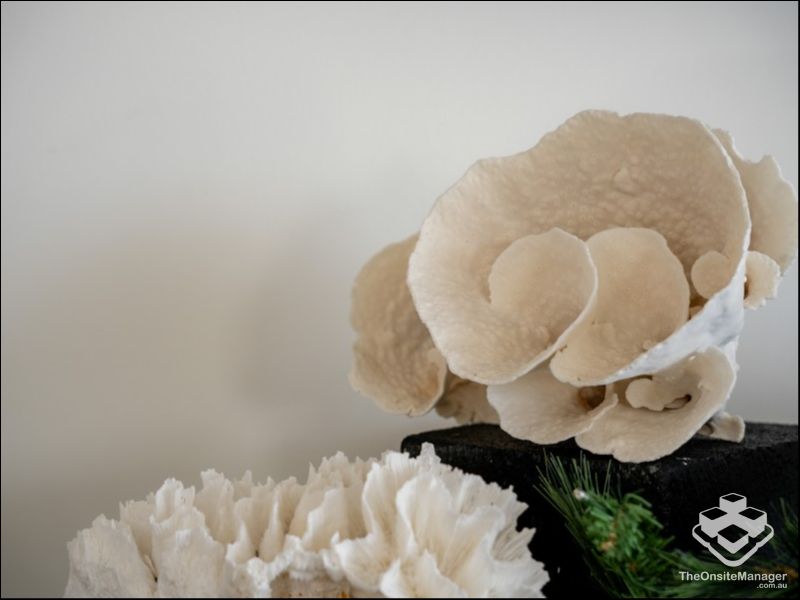 real estate Gold Coast