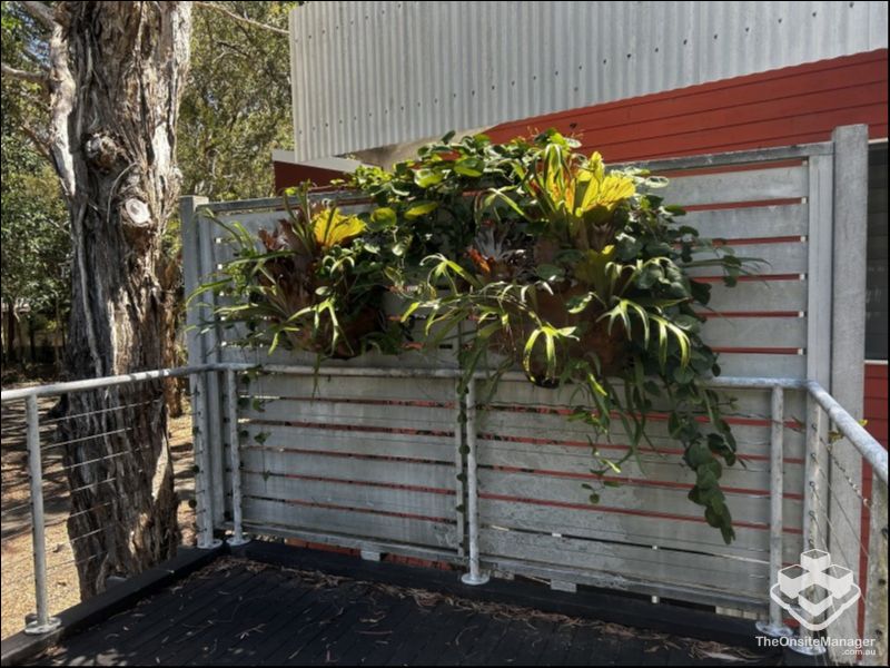 real estate Gold Coast