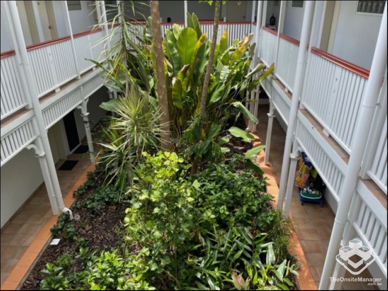 management rights Cairns