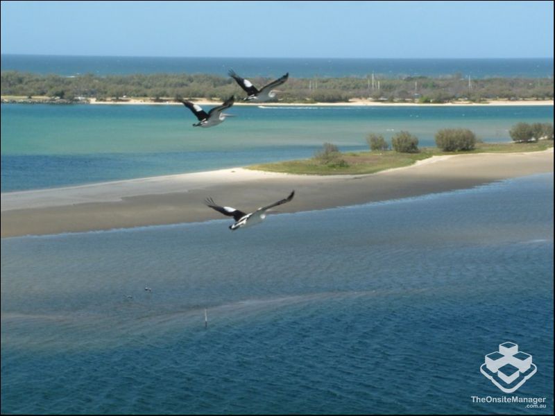 real estate Gold Coast