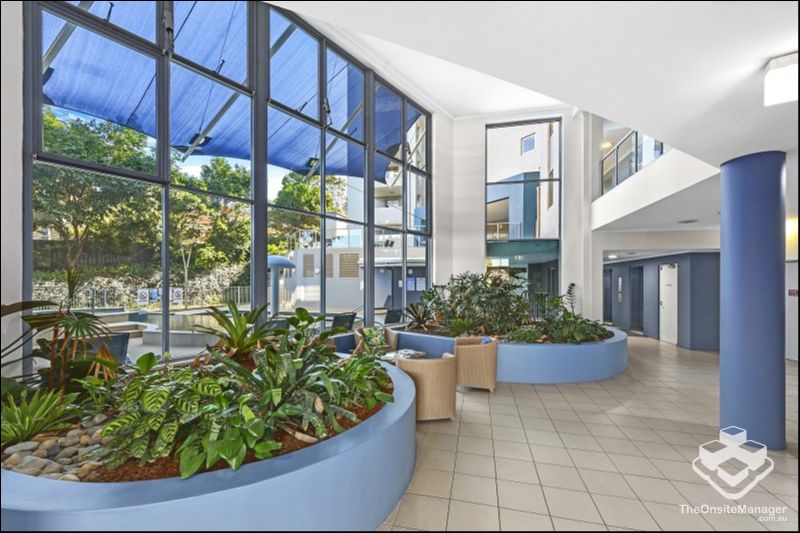 management rights Port Macquarie